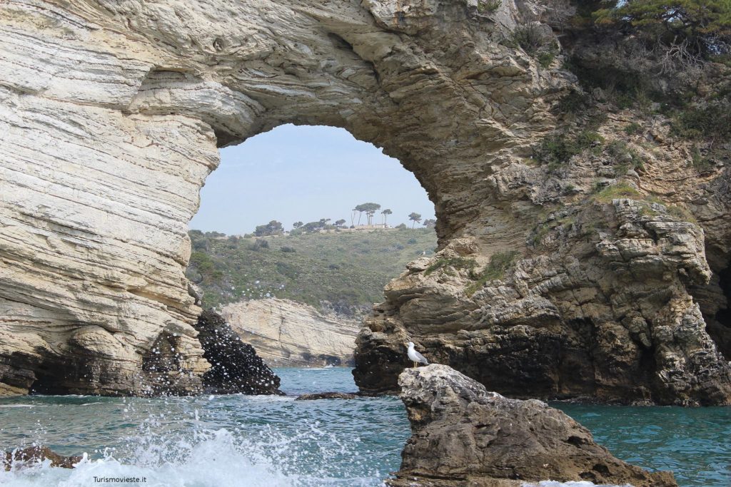 vieste arco san felice